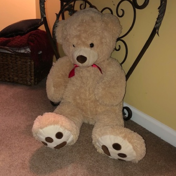 teddy bear brand